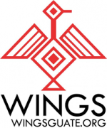 5 WINGS logo